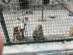 -南京金牛湖风景区