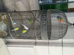 android_upload_pic-老味道民宿(栈桥店)