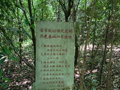 -长虫山生态公园风景林