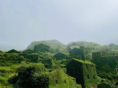 -枸杞岛
