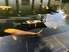 -邊渡咖啡
