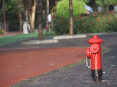 -洛阳市牡丹公园