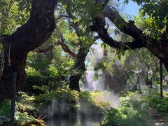 -Chom Cafe and Restaurant