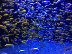 -成都浩海立方海洋公园