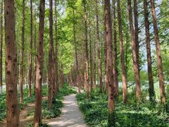 -云龙湖旅游景区