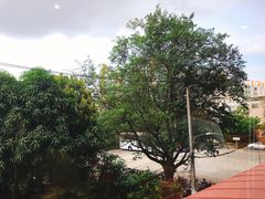 -曼谷拉差达绿宝石酒店