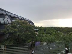 -上海滴水湖皇冠假日酒店