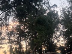 -玫瑰海岸文化旅游度假区