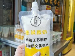 -德禄酸奶(莫家街店)