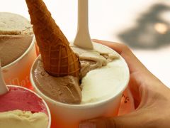 -Dip in Gelato(富民路店)