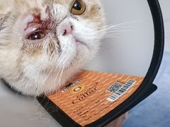 -畜牧兽医站(共江路店)