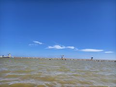 -碧海金沙