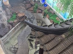 -春盛渔府(牛首山店)