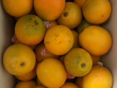 -叁宫礼水果批发仓储店(梅江店)