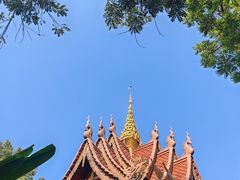 -西双版纳傣族园