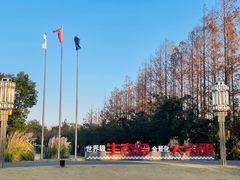 -上海长兴岛郊野公园