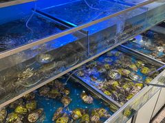 -海天一色海景自助餐厅(西港花园店)