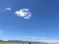 -山丹皇家马场