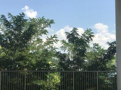 -星巴克(成都太古里二店)