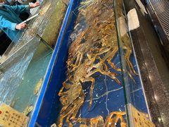 -鹏天阁酒楼·海鲜(红旗店)