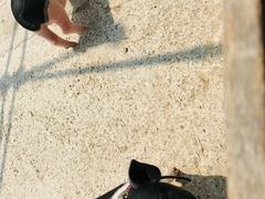 -前小桔亲子创意农场·草莓采摘·露营烧烤