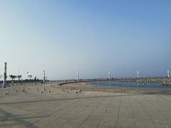 -东港音乐喷泉广场