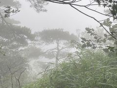 -含鄱口