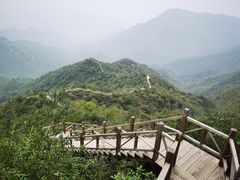 -大岭沟猕猴桃谷风景区