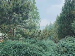 -东升八家郊野公园