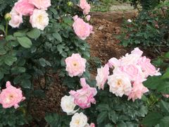 -人民公园(罗湖区)