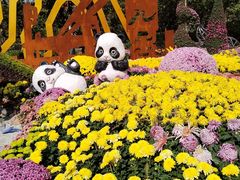 -南山植物园