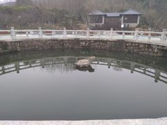 -白马涧龙池景区