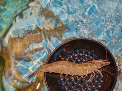 -小天鹅戴斯酒店鲸鲨百汇创作料理