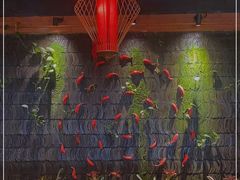 -小龙坎火锅(华凌店)