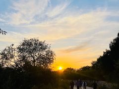 -北京西山国家森林公园