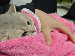 -暖阳宠物医院·犬猫康复中心·骨科