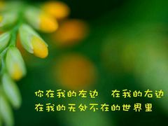 android_upload_pic-香港城市花园酒店