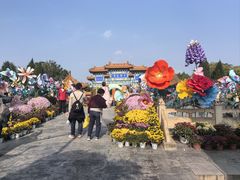 -中国翰园碑林