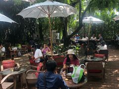 -Fern Forest Cafe