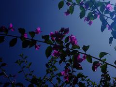 -云南师范大学(一二一西南联大校区)