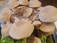 -捞神汤物料理(正大广场店)
