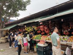 -大湾区中央湿地公园-十九涌