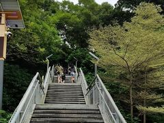 -佛山华盖山公园