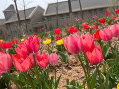 -大连东软信息学院(软件园校区)