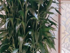 -煎饼卷大葱·非遗传承·潍坊菜(十笏园店)