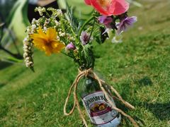 -前小桔亲子创意农场·草莓采摘·露营烧烤