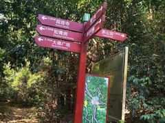 -东莞市大岭山森林公园