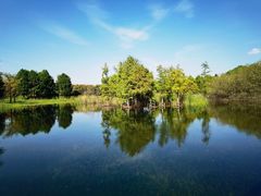 -贡湖湾湿地公园
