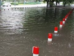-长白岛森林公园