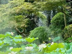 -杭州西子湖四季酒店·金沙厅